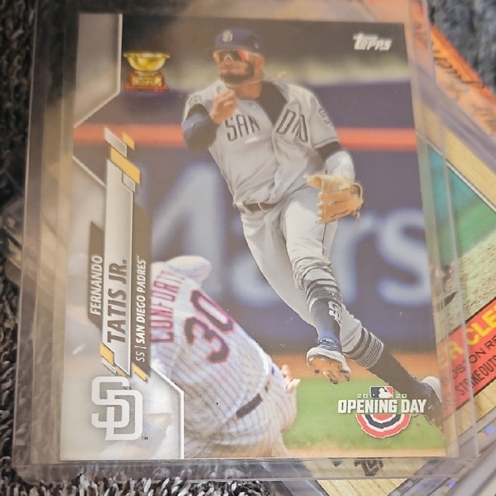Topps Fernando Tatis Jr. Card with Gray and Gold Accents
